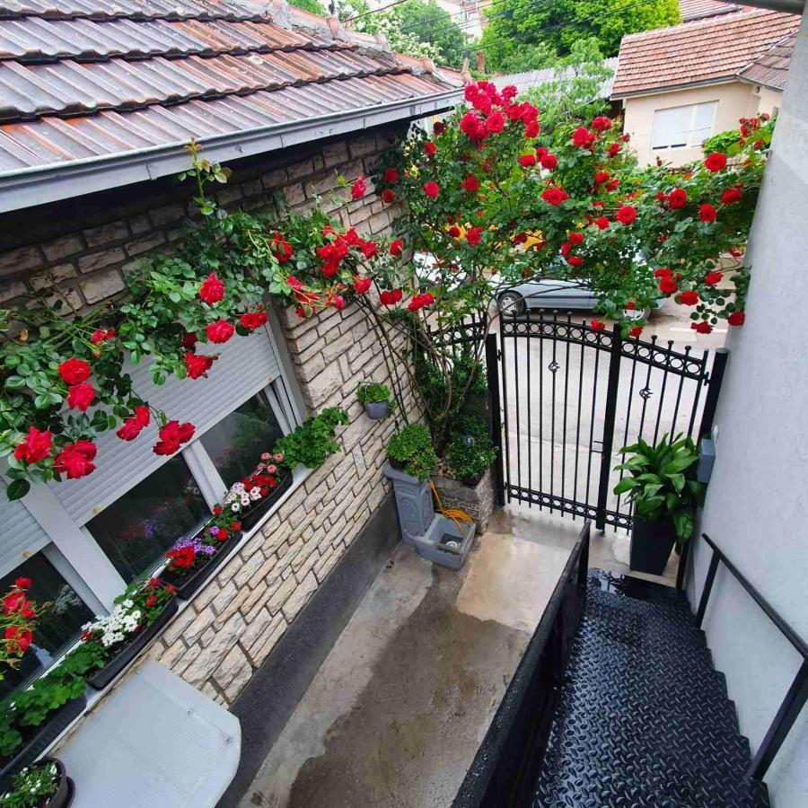 Fortress Apartments Ниш Екстер'єр фото