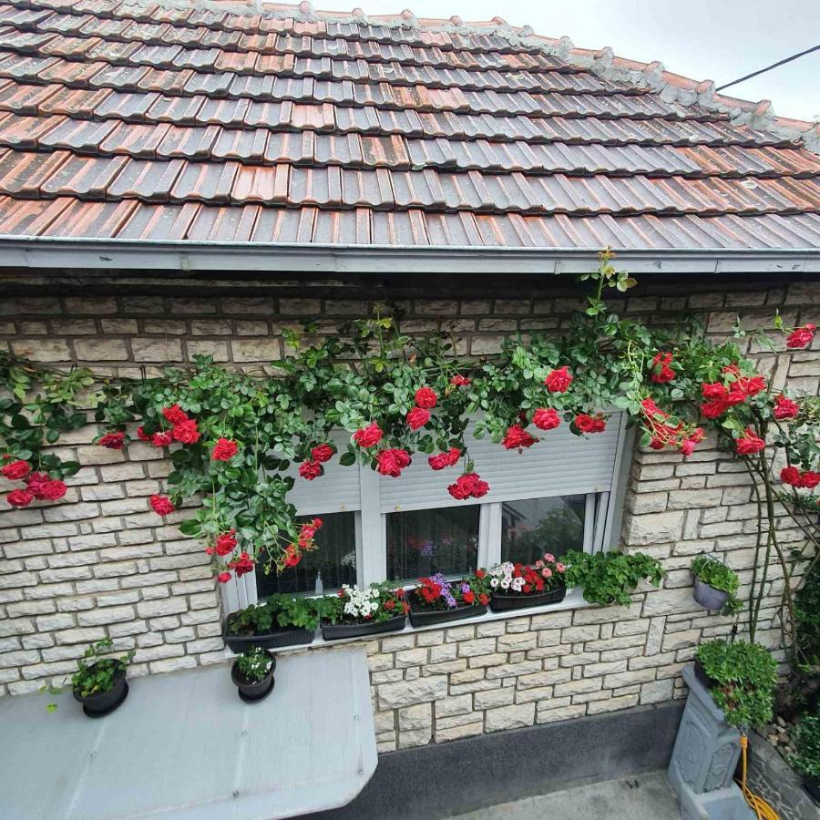 Fortress Apartments Ниш Екстер'єр фото